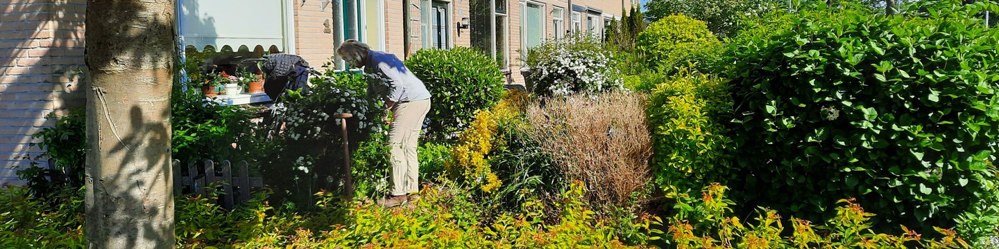 Biodiversiteit in uw eigen tuin of buurt