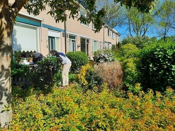Biodiversiteit in uw eigen tuin of buurt